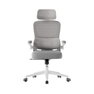 Deli เก้าอี้ทำงาน เก้าอี้สำนักงาน ที่นั่งเพื่อสุขภาพ