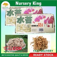 High Quality Sphagnum Moss/Peat Moss Plant Lumut Sphagnum