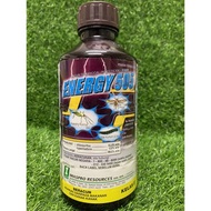 Energy 505 1Liter/Racun serangga/Insecticide