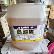 CH AMINE 48 20 Liter Racun Keladi