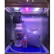 aquarium set LELONG Aquarium Mini Set Clean Sexy Beginner Set (Aquarium Saiz L24x26Hx15W)