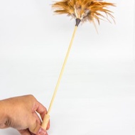 挪威森林 友善逗貓棒