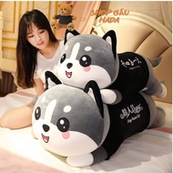 Gấu Bông To Mèo Husky- Gối Ôm Hình Thú Nhồi Bông Mèo Husky Đáng Yêu - Gối Ôm Mèo Husky
