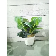 Imitation bean leaves decorative leaves fake leaves home decoration