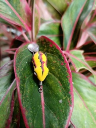 umpan pancing sofrog mini 25 cm killer