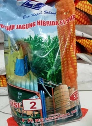BENIH JAGUNG HIBRIDA BISI 2 BERTONGKOL 2 KEMASAN 5KG
