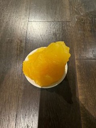 一磅脂肪標本