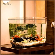 Fish Tank with Lid Aquarium