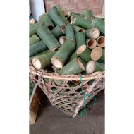 Buluh Lemang Kukus / Buluh Pendek 10pcs