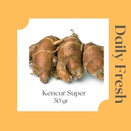 kencur Segar 50g