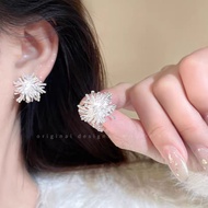 Prosperous Fireworks~Light Luxury High-End Fireworks Zircon Earrings Female Alloy Hot-selling Niche 