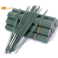100Pcs 14Gauge Iron Wire Sticks for DIY Floral and Craft Projects, 12Inch