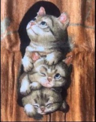 貓貓 毛巾 方巾 cat towel Makoto Muramatsu Collection