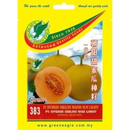 383 F1 HYBRID MELON MANIS SUN LIGHT  朝阳甜蜜瓜种子