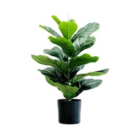 Artificial FIDDLE FIG
