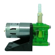 Peristaltic Pump Water Pump DC12V DC24V 500ml/min High Flowrate Water Pump for Aquarium Lab Analytic