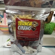 TBUNGA CIKANG TIHANI