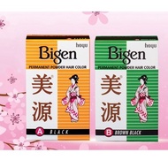 BIGEN POWDER HAIR DYE