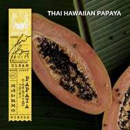 KARMAKAMET | Le Marche Aux Fruits Padang Bazaar Perfume Paper Bag | คามาคาเมต ถุงหอม ตู้เสื้อผ้า ปรั