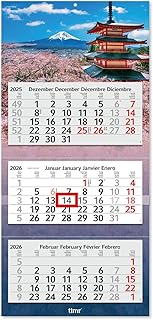 Timr 3-Month Calendar 2026 - Wall Calendar 3 Months with Slider - 70 cm Three-Month Calendar Multili