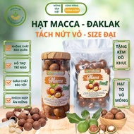Dried Daklak Macadamia, Peeled and Cracked, Vietnamese Agricultural Products, Healthy Snacks, Nutrit