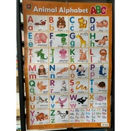 AFK Poster Plastic Cover ABC (Orange) (Product Has Defects) abc poster abc