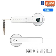 XSDTS Tuya ลายนิ้วมือประตูล็อคดิจิตอลล็อคอิเล็กทรอนิกส์ด้วยรหัสผ่าน/คีย์/IC Card/ Smartlife/ Tuya AP
