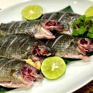 Ikan Betok/ Ikan Papuyu/ Ikan betik bersih