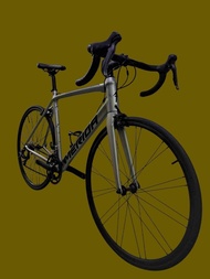 merida scultura 100 公路車  美利達 入門性價比高單車