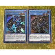 Yugioh Paladin of Dark Dragon