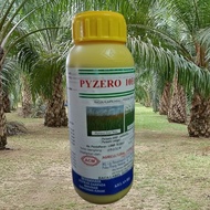 500ml PYZERO 10EC ACM RACUN RUMPAI RUMPUT PADI BURUNG EKOR TEBU Racun Sambau Bunga Kasar/Halus/colok