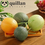 QUILLAN Artificial Cantaloupe Melon, Foam Plastic Fake Cantaloupe Melon, Toy Food Model Funny Realis