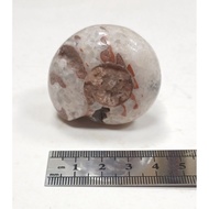 ~~ star~Flame Ammonite (Indonesian Ammonite)~Polished~Weight About 73 Grams~Ammonite Fossil~