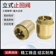 Brass Vertical Check Valve Spring Type Check Valve Water Pipe Threaded Valve Water Valve Check Valve