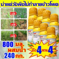 ใช้1ครั้ง นาข้าวโพด50 ปีไม่มีวัชพืช เข้มข้นสุด ยาฆ่าหญ้าในข้าวโพด 100ML ซื้อ1แถม1 ยาฆ่าหญ้าข้าวโพด ก