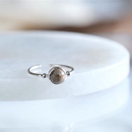 dinosaur born fossil agate _Halda áfram ring　恐竜の化石　シルバーリング