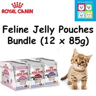 Royal Canin Feline Pouch In Jelly [85g x 12]