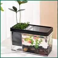 Small Fish Tank Transparent Mini Fish Tank Small Betta Fish Tank Desktop Fish Bowl Organizer for Shrimp Betta juasg