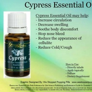 READY STOCK CYPRESS ESSENTIAL OIL