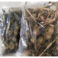 100 gram Dried Succulent Leaves