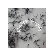 Ready Stock 🇸🇬✨Premade fan Volume 8D/10D