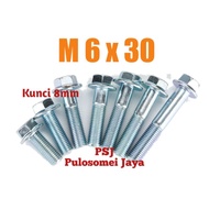 Flange Bolt Key 8 Flange Bolt M6 x 30 Flange/ Bolt M6 Bolt