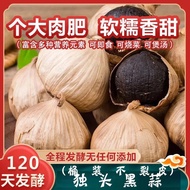 Yangyuanbao Black Garlic Instant Snacks Shandong Specialty Black Garlic Fermented Garlic Black Single Head of Garlic120F