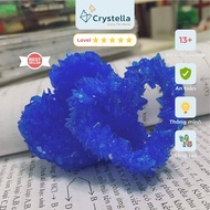 Green Heart Crystella Crystal Growing Set - Piece Meaningful Science Gift Sparkling after only 1 day