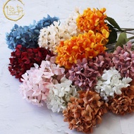 Hydrangea flower with 2 tall branches