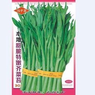 甜芥菜芽種子 種籽甜芥菜心芥菜苔四季青菜早熟脆嫩無渣蔬菜種子 種籽大全