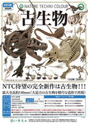 預購2024年9月 [御宅族] IKIMON 代理 轉蛋 扭蛋 NTC圖鑑 古生物 全6種 預購 霸王龍 三角龍 蛇頸龍