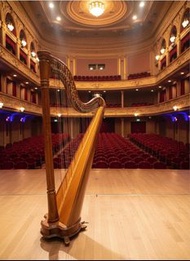 豎琴外租salvi ana 38strings 表演租豎琴 比賽租豎琴  lever harp 豎琴