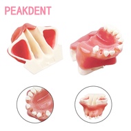 Dental implant model missing maxillary implant practice model teaching training oral model