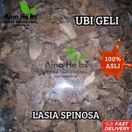 HERBA UBI GELI KERING GEGELI UBI GADONG 100% HERBA ASLI UNTUK GOUT BUASIR CUCI BUAH PINGGANG